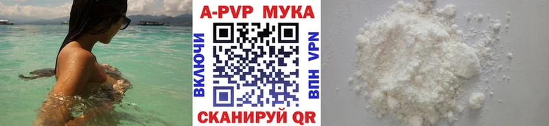 Альфа ПВП СК КРИС  Зеленоградск 