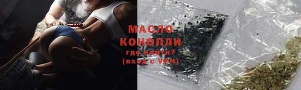 гашик Вяземский