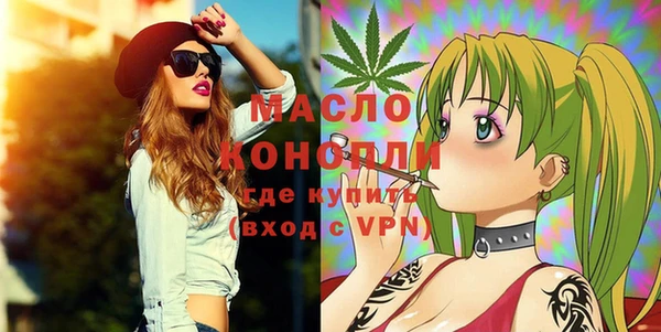 гашик Вяземский