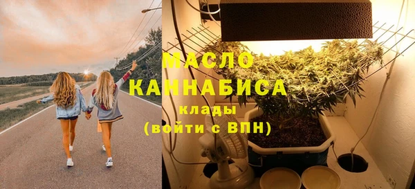 гашик Вяземский