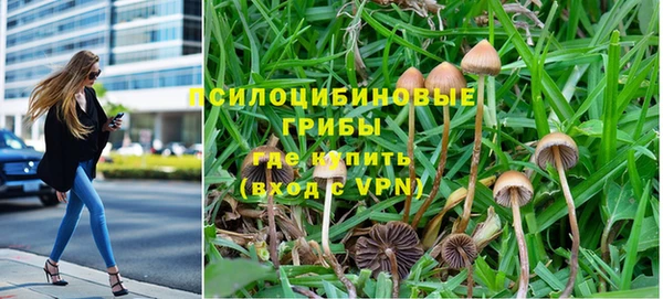 прущие крисы Верхний Тагил